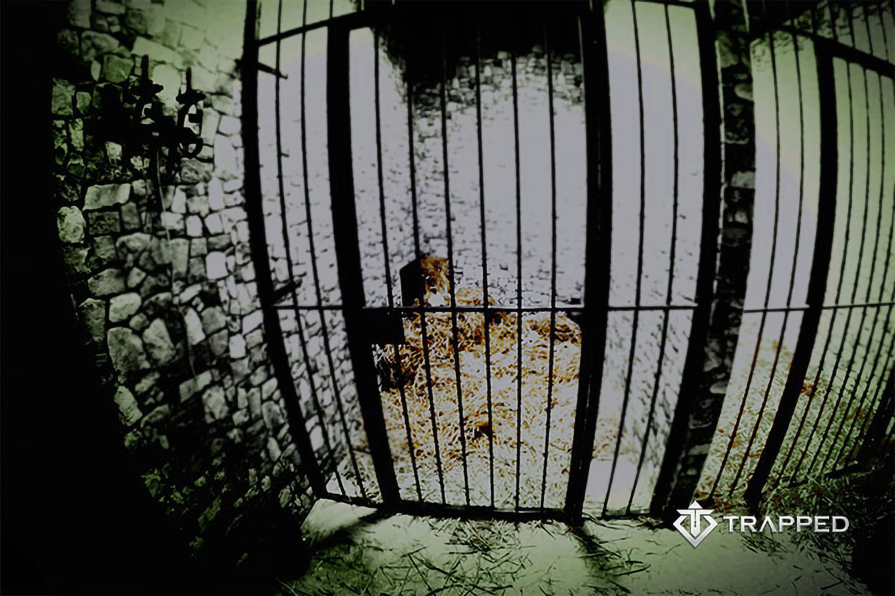 Medieval Prison Escape Room Poster